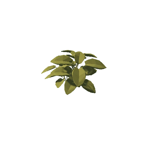 Leafy Plant 2